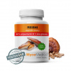 MycoMedica Reishi 50% vo vysokej koncentrácii 90 rastlinných kapsúl MycoMedica Reishi 50% vo vysokej koncentrácii 90 rastlinných kapsúl
