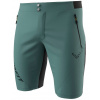 DYNAFIT TRANSALPER LIGHT DYNASTRETCH SHORTS M ATLANTIC KRAŤASY Veľkosť: M DYNAFIT TRANSALPER LIGHT DYNASTRETCH SHORTS M ATLANTIC KRAŤASY Veľkosť: M