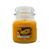 Yankee Candle Mango Peach Salsa Medium Jar 411 g