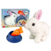 Plyšák Interaktívny králik Biely Príslušenstvo Plyšák Interaktívny králik Biely Príslušenstvo