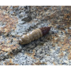 FISHUP Pupa 1,2 FISHUP Pupa 1,2