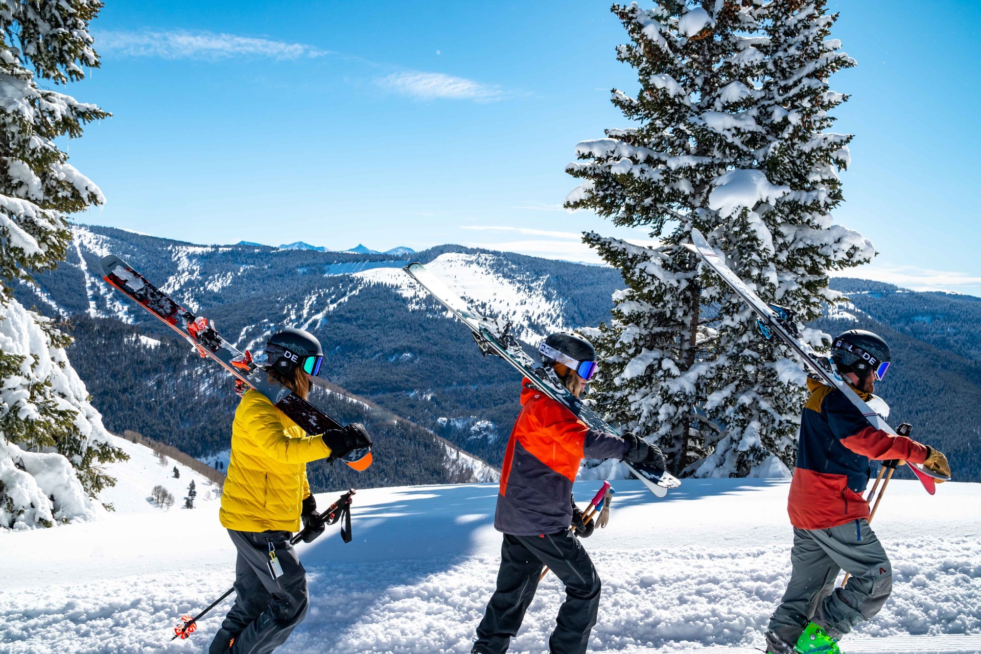 Špeciálnu kategóriu tvoria skialpinistické lyžiarky, ktoré musia byť ľahké a pohodlné pri chôdzi