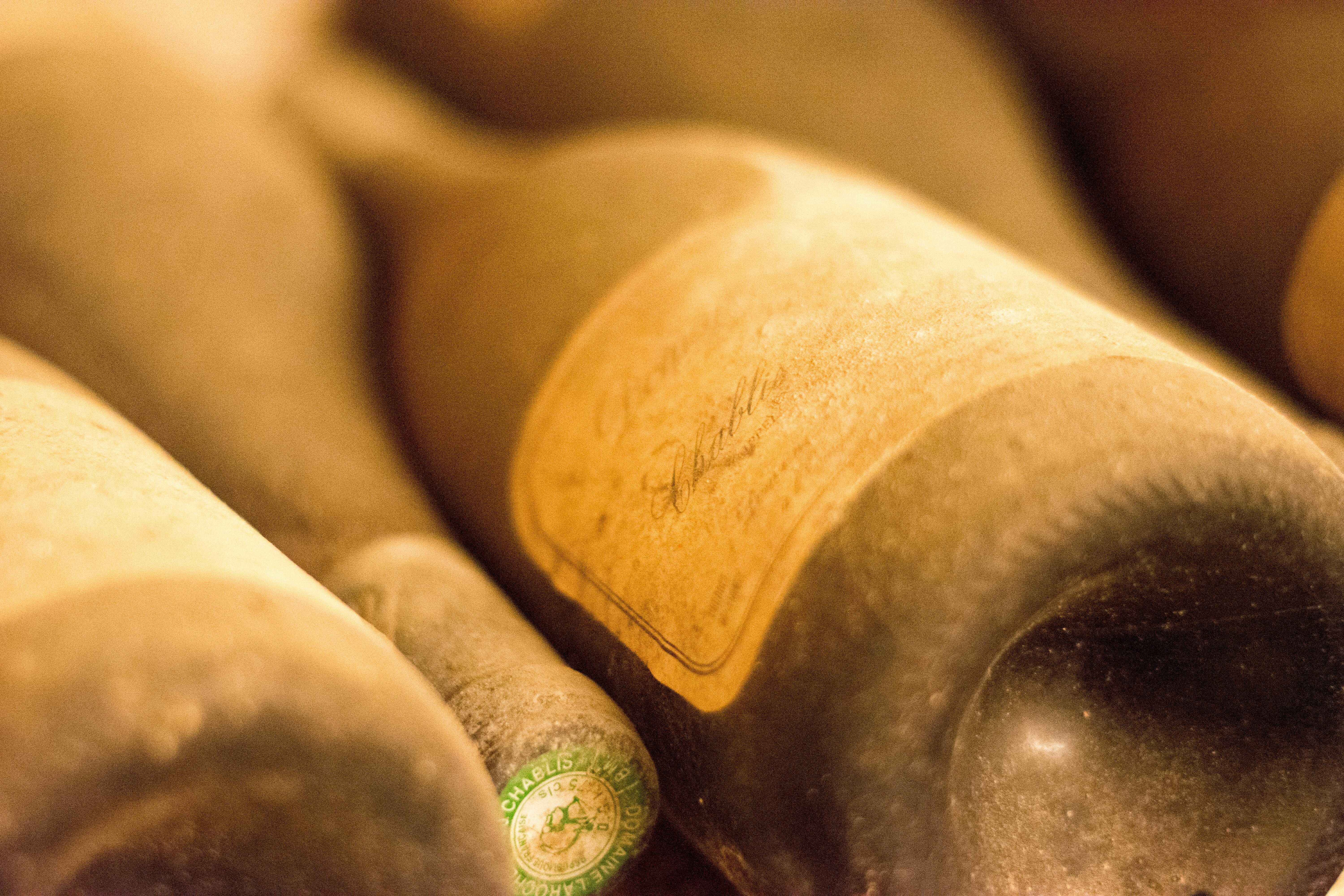 Pro archivaci vína je nejvhodnější zemní sklep se stálými podmínkami