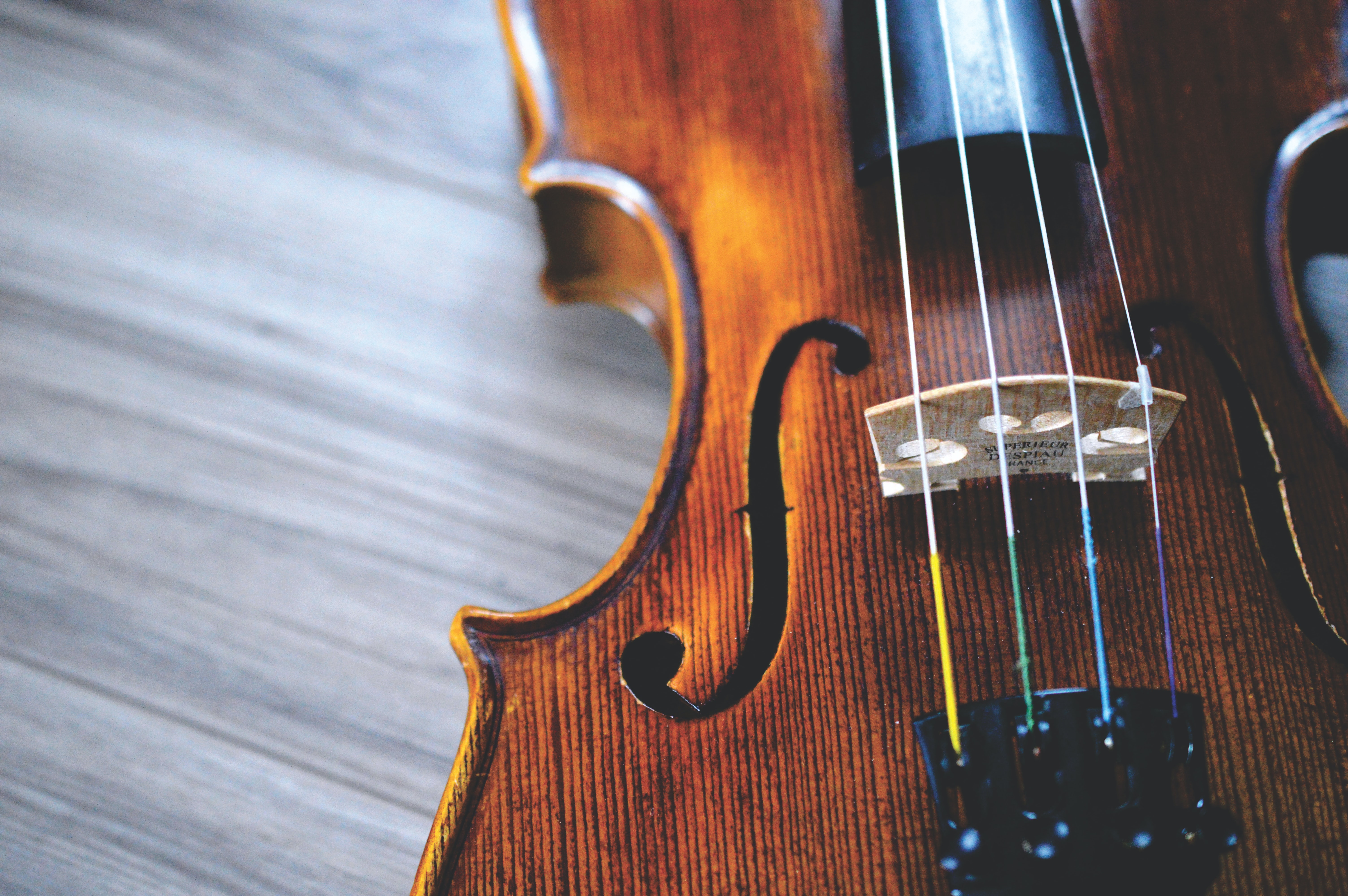 Při výběru houslí si zjistěte především správnou velikost a kvalitu zpracování