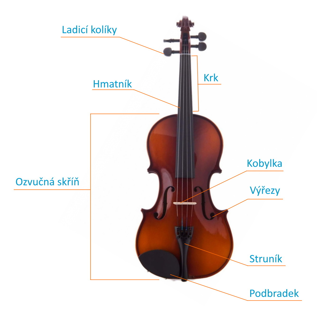 Stavba klasických akustických houslí
