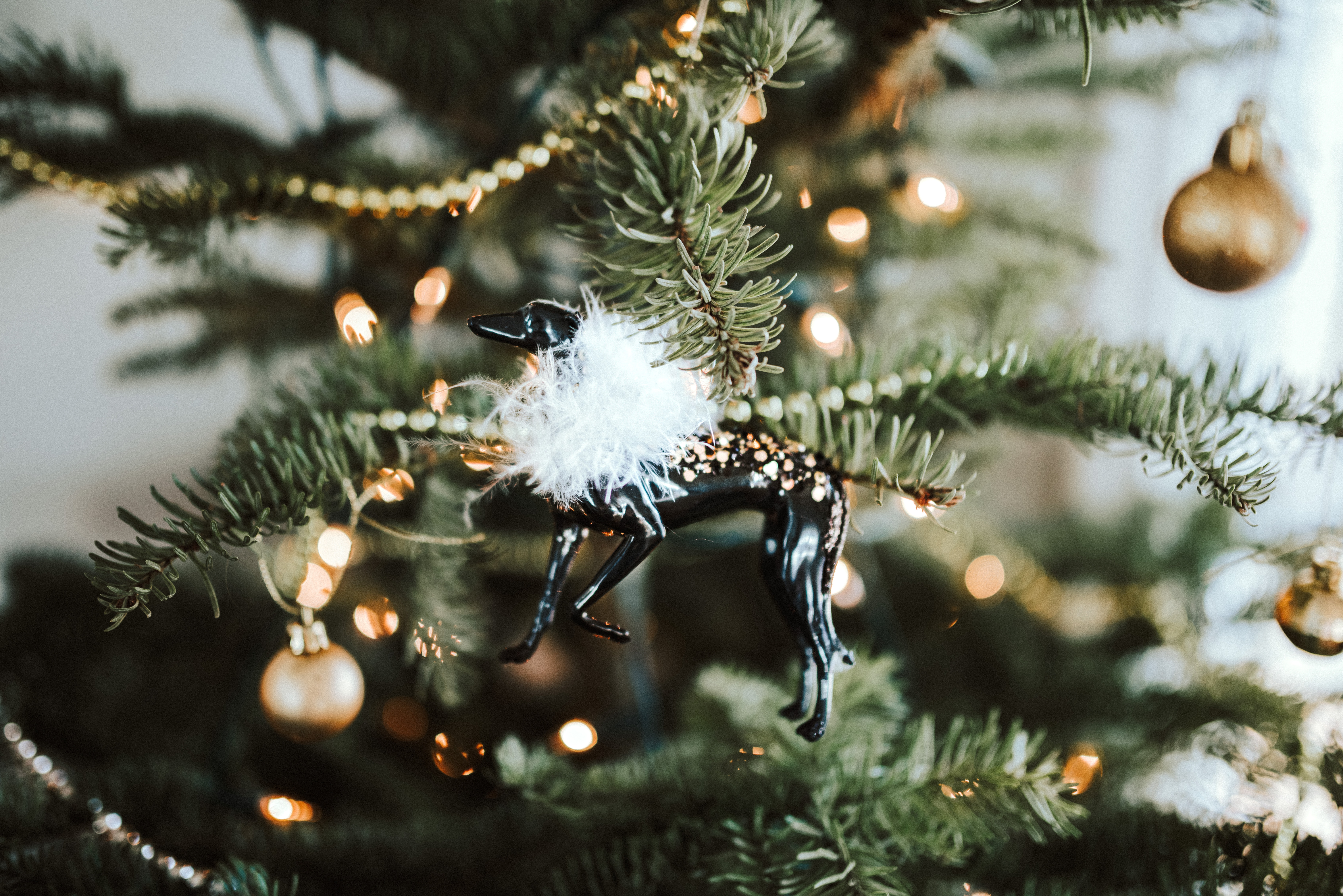 Vánoce nemusí být jen o tradicích, popusťte uzdu fantazie a vytvořte si jedinečné dekorace přesně podle sebe