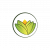 The Ayurveda Experience