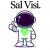 SalVisi