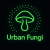 Urban Fungi s.r.o