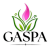 Gaspa.cz