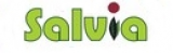 Salvia
