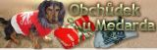 Obchůdek u Medarda