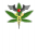 medigrower.cz