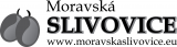 Moravská Slivovice
