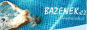 Logo Bazének.cz