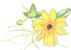 bio-semena.freepage