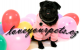 Loveyourpets.cz