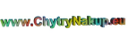 chytrynakup