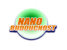 nanobuducnost