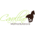 Cavallino