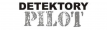 Logo Detektory Pilot
