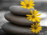 nature-eshop