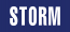 Logo STORM