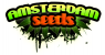 Amsterdam seeds