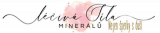 Léčivá Síla Minerálů