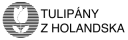 FLAMING PARROT - ŽLUTO ČERVENÝ TULIPÁN Množství cibulek v jednom balení: 25 ks