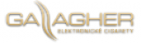 Logo Gallagher.cz
