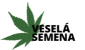 Veselá semena