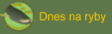 Dnes na ryby
