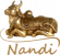 Logo obchodu nandi-shop