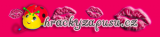 Logo obchodu Hrackyzapusu.cz