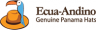 Logo Ecua-andino.cz