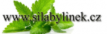 www.silabylinek.cz