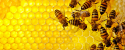 honeymed.cz