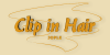 Clip in Hair-eShop