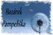 Bazárek Pampeliška