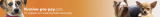 Krmivo-pro-psy.com