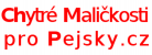 Chytré maličkosti pro pejsky.cz