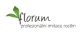 Logo obchodu Florum