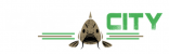 Carpcity.cz