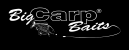 bigcarpbaitsshop.cz