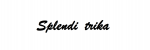 splendi.t-shock