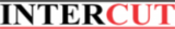 Logo Intercut.cz