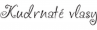 Logo Kudrnaté vlasy