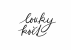 Loukykvět