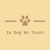 In Dog We Trust